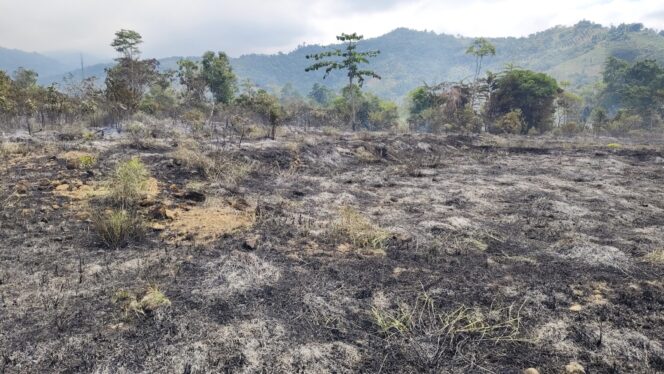 
					Kebakaran Hutan Kembali Terjadi di Tiromanda, Diperkirakan 100 Hektare Lahan Terbakar